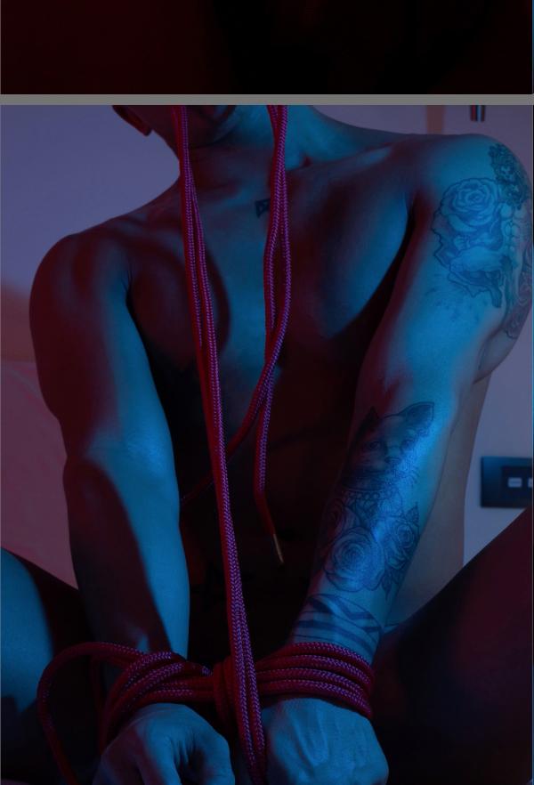 Harder-4